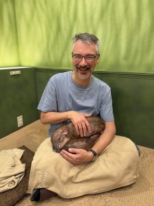 That's right, I said mini-pigs, because who doesn't love mini-pigs - Japan, December 2024